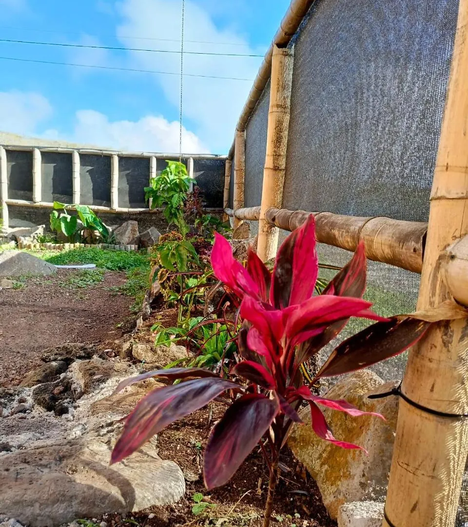 Casa Bambu Galapagos Villa San Cristóbal