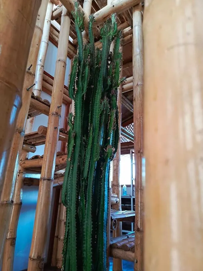 Prázdninový dům Vila Casa Bambu Galapagos San Cristóbal