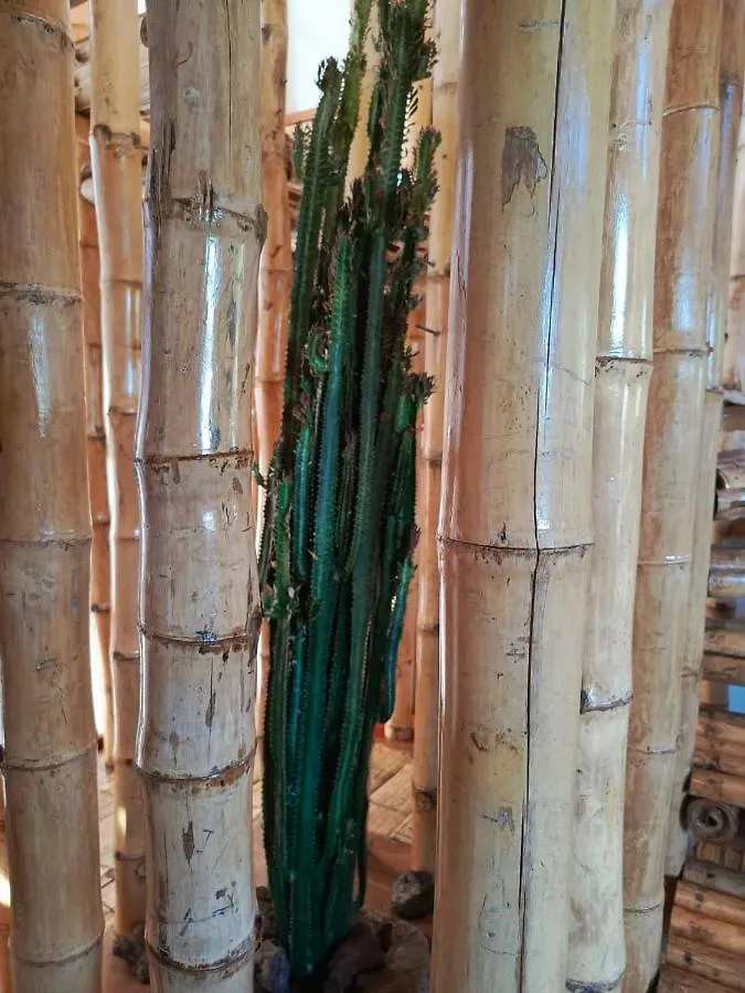 Vila Casa Bambu Galapagos San Cristóbal